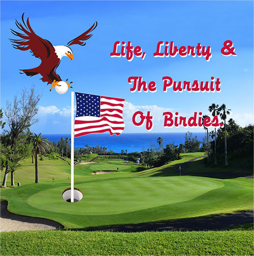 life and liberty 500-500